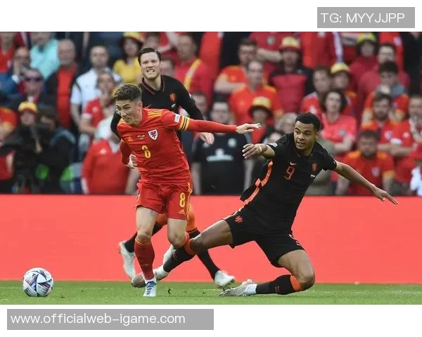 黑山与俄罗斯对决分析如何评估两队实力与战术优势